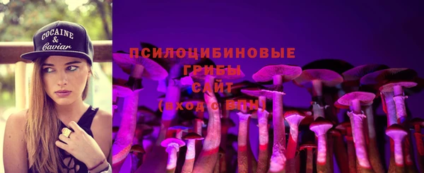 мяу мяу мука Алексин